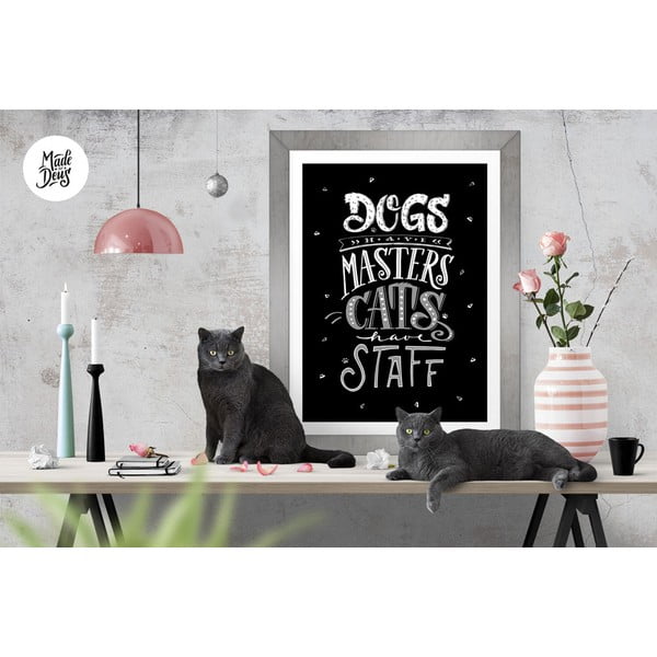 Plakát Dogs Masters Cats Staff BW, A3