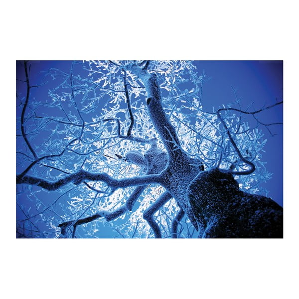 Fotoobraz Omrzlý strom, 90x60 cm