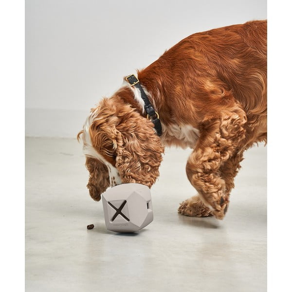 Koera mänguasi Dado Greige - MiaCara-image-1