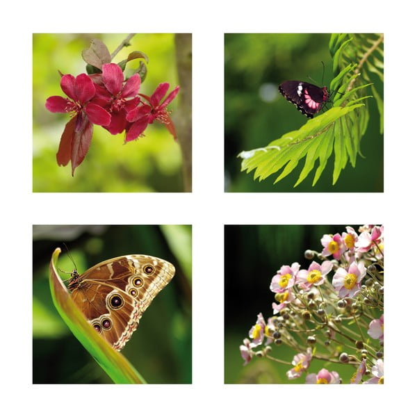 Set 4 fotoobrazů Motýli, exkluzivní edice