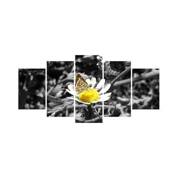 Vícedílný obraz Black&White no. 62, 100x50 cm