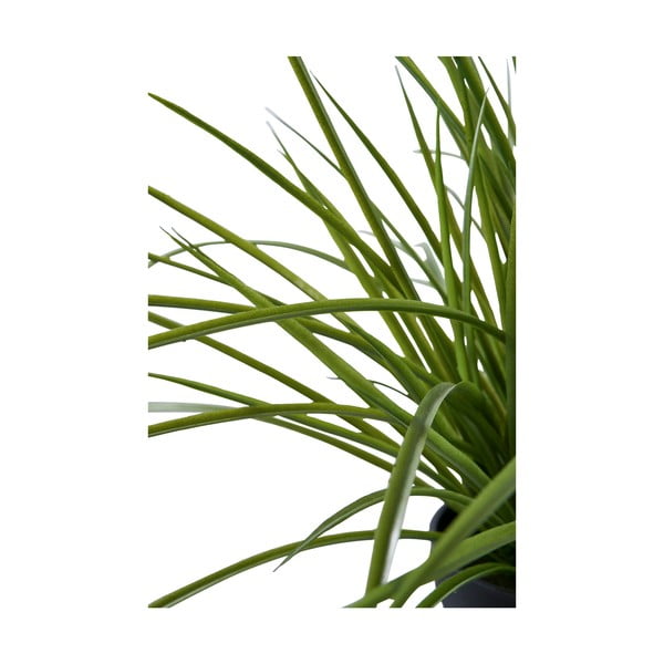 Kunsttaim (kõrgus 45 cm) - House Nordic-image-3