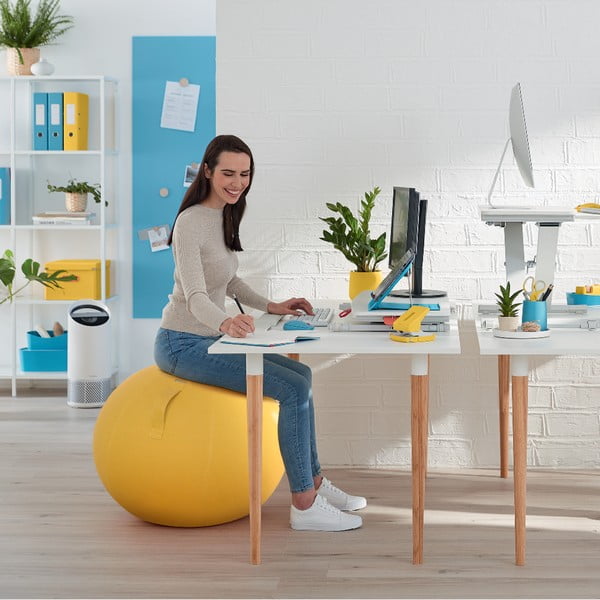 Ergonoomiline istumispall ø 65 cm Ergo – Leitz-image-4