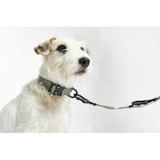 Roheline kaelarihm M/L pikkus 35 cm Modena Grolive M/ML – MiaCara