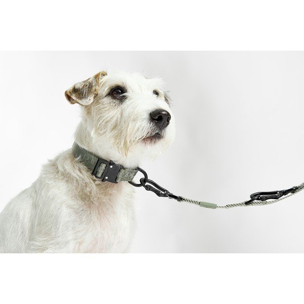 Roheline kaelarihm L/XL pikkus 40 cm Modena Grolive L/XL – MiaCara-image-3