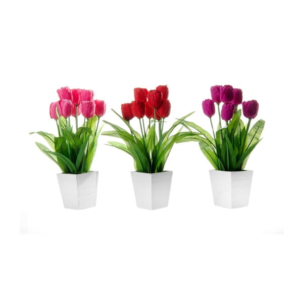 Komplekt 3 kaunistust Tulip lille kujulise lillega - Casa Selección