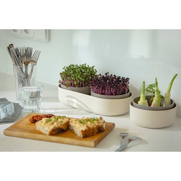 Plastikust idanemisnõu ø 16 cm Regrow – Plastia-image-4