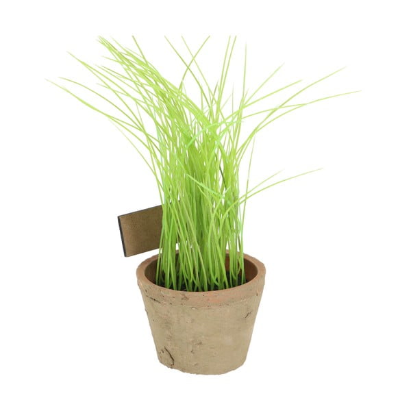Kunstlik taim (kõrgus 27 cm) Chives - Esschert Design-image-3