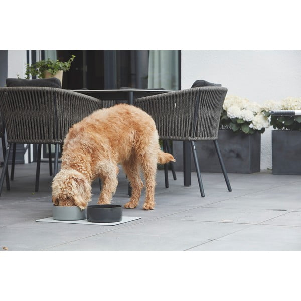 Portselanist kauss koerale ø 20 cm Scodella Graphite M/L - MiaCara-image-1