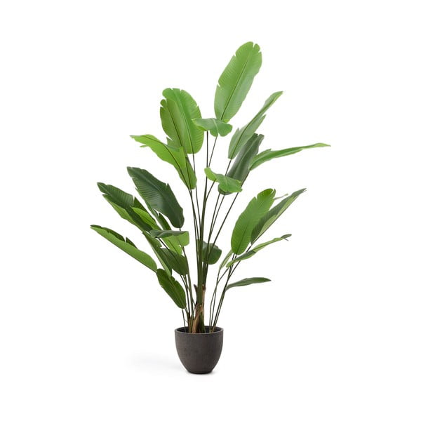 Kunstlik banaanipuu (kõrgus 210 cm) - Kave Home