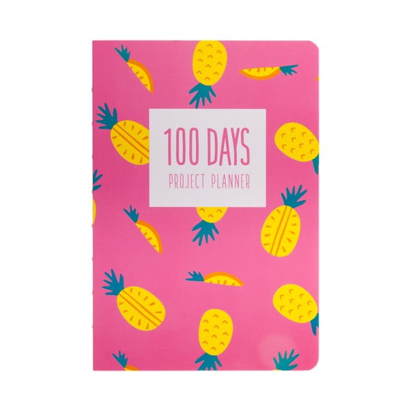 Plánovač Languo 100 Days Ananas