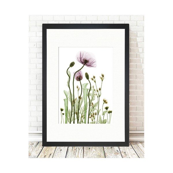 Pilt , 24 x 29 cm Wild Plants - Tablo Center-image-1