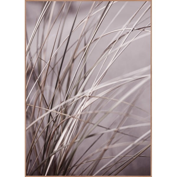 Plakat raamis 50x70 cm Mellow Grasses 1 - Malerifabrikken