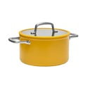 Alumiiniumist pott induktsioonpliidile koos kaane ja mittenakkuva pinnaga  5,5 l Meda 3.0 - FABINI