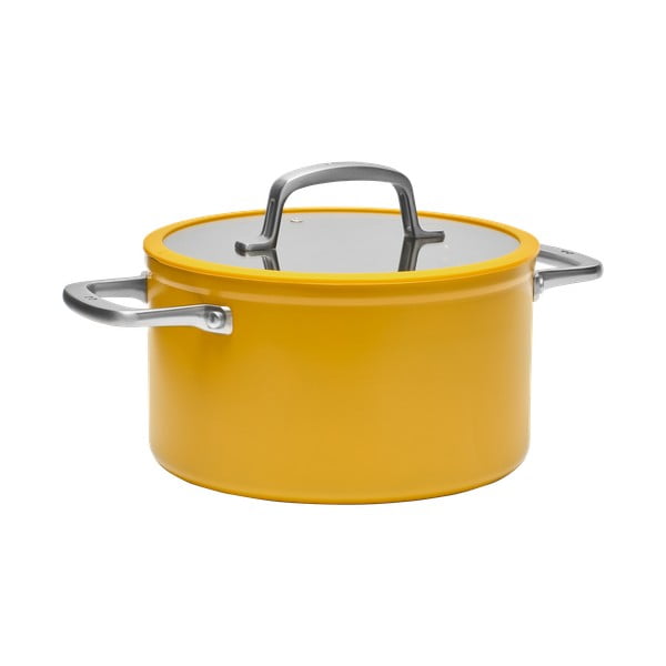 Alumiiniumist pott induktsioonpliidile koos kaane ja mittenakkuva pinnaga  5,5 l Meda 3.0 - FABINI