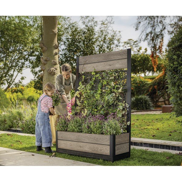 Taimekast Deco - Keter-image-1