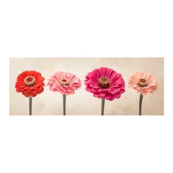 Skleněný obraz DecoMalta Flowers, 80 x 30 cm