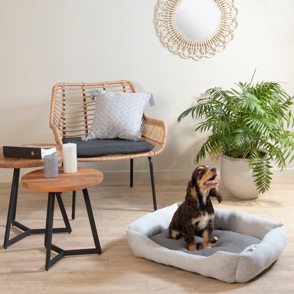 Helehall koeravoodi 70x58 cm Graphene - Love Story-image-1