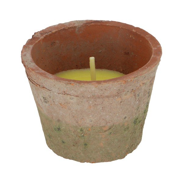 Lõhnaküünal põlemisaeg 10h Citronelle - Esschert Design-image-3