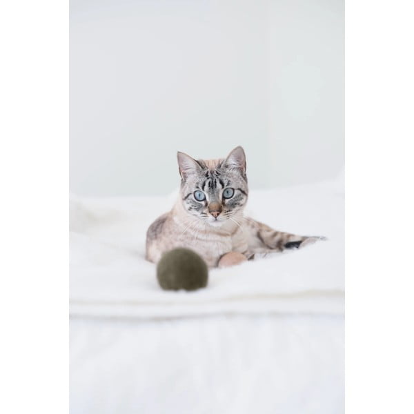 Kassi mänguasjad 3tk komplektis Globo Nougat - MiaCara-image-3