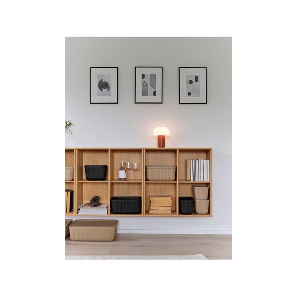 Korvid 2 tk komplektis 48x32x20,5 cm Pulp - Zone-image-3