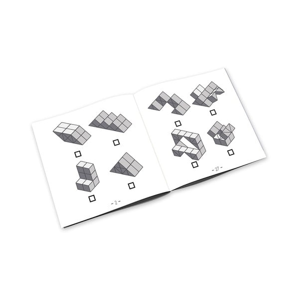 Mõistatus Dynacube – RecentToys-image-2