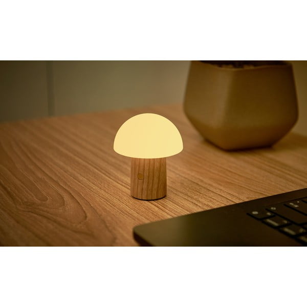 Tuhapuidust LED dimmerdatav laualamp (kõrgus 7 cm) Alice - Gingko