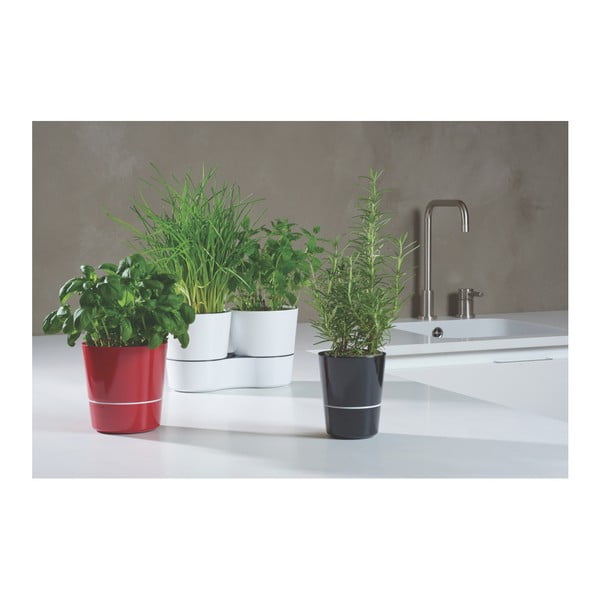 Hall pott maitsetaimede jaoks Hydro Herbs - Mepal-image-3