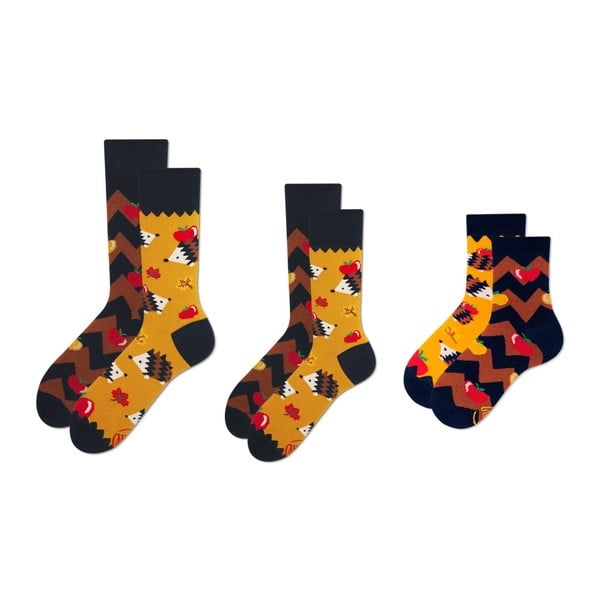 Rodinná sada 3 párů ponožek Many Mornings Apple Hedgehog Petit