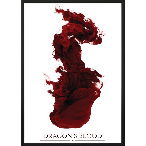 Plakat , 70 x 50 cm Dragons Blood - DecoKing