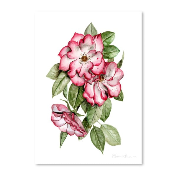 Plakát Americanflat Portland Roses by Shealeen Louise, 30 x 42 cm