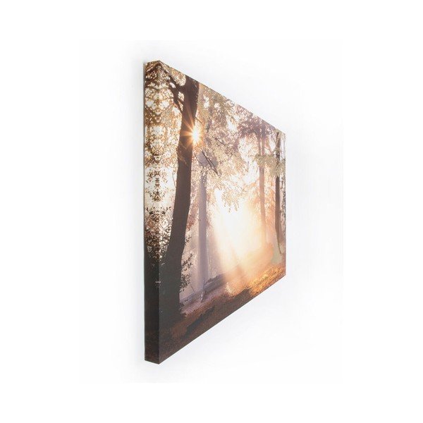 Maal, 80 x 60 cm Metallic Forest - Graham & Brown-image-2