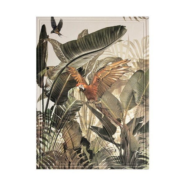 Seinakell Parrot - Styler 