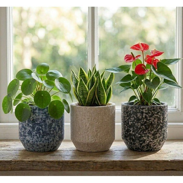 Keraamiline käsitöö lillepoti kaas ø 14 cm Almada - Ego Dekor-image-1