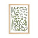Pilt männipuidust raamiga Leafes Collection, 50 x 70 cm Leaves Collection - Surdic