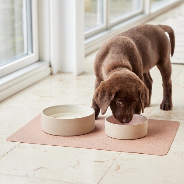 Keraamiline koerakauss ø 13 cm Sia - OYOY Living Design-image-2
