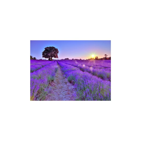 Obraz Lavender Canvas, 60x80 cm