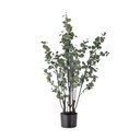 Kunst eukalüptus (kõrgus 117 cm) - Bloomingville