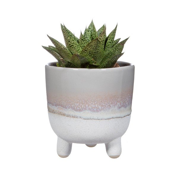 Kiviplaat lillepoti kate  ø 12 cm Mojave – Sass & Belle-image-2