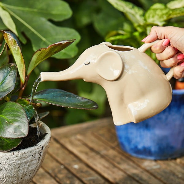 Keraamiline kastekann Elephant - Sass & Belle-image-1