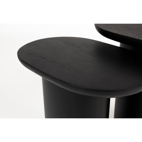 Abilauad 2 tk komplektis mangopuidust pealispinnaga 37x56 cm Bela - White Label-image-3