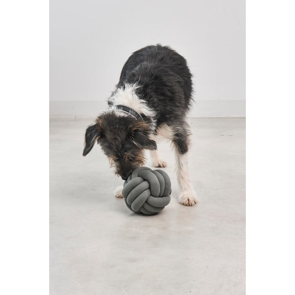 Koera mänguasi Tubo Stormy Sea - MiaCara-image-1