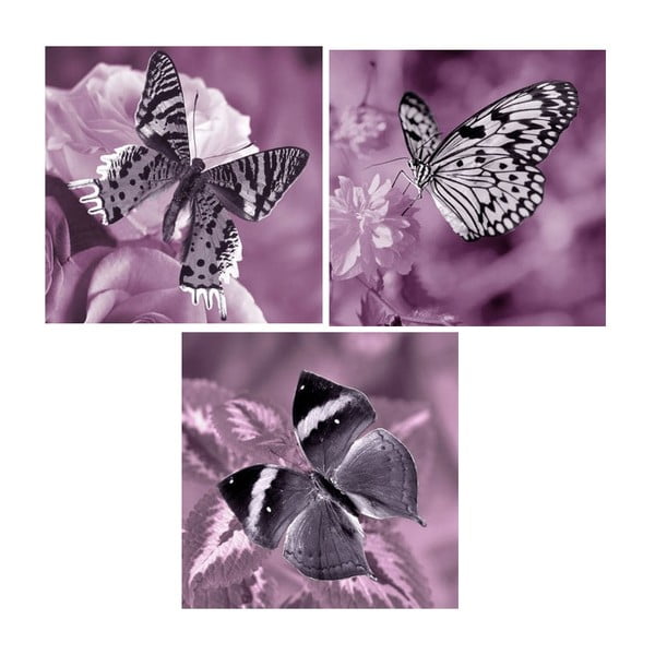 Set obrazů na skle Motýlí,30x30 cm, 3 ks