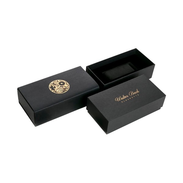 Pánské hodinky s páskem z nerezové oceli ve stříbrné barvě Walter Bach Randy-image-1