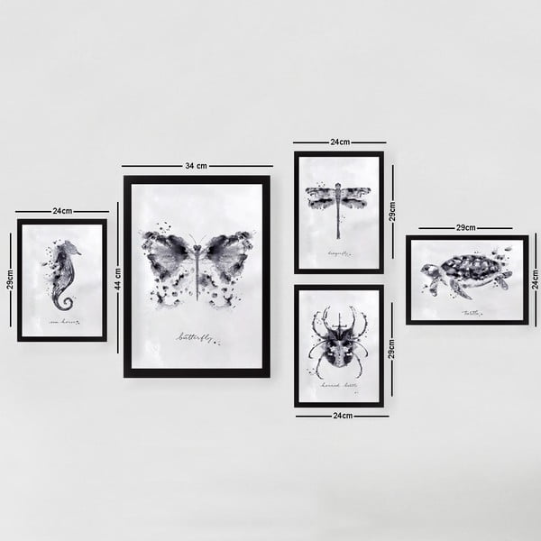 Maalid 5 tk komplektis Butterfly - Wallity-image-2