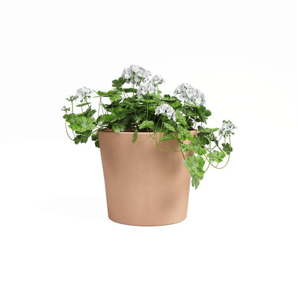 Terrakotta lillepott ø 24 cm Manuel - Artevasi-image-1