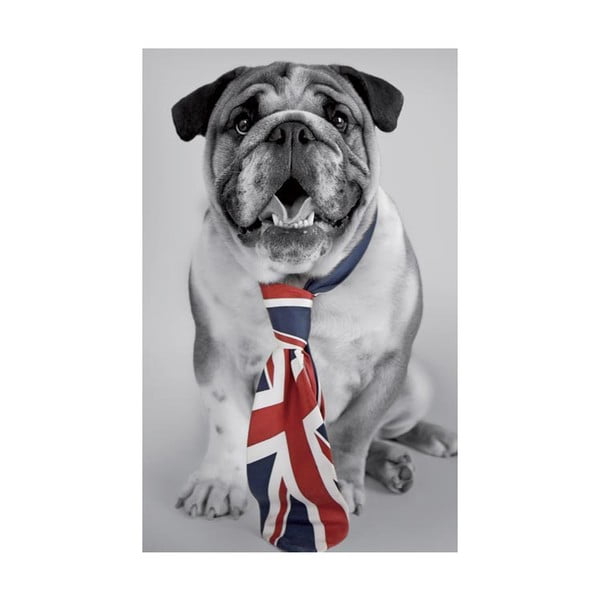 Fotoobraz British Dog, 51x81 cm