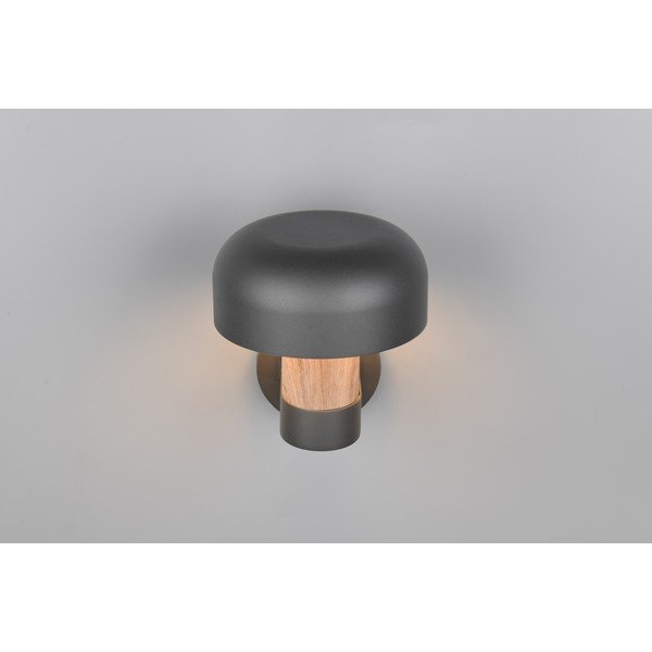 Välisvalgusti (kõrgus 24,5 cm) Fraser - Trio-image-2