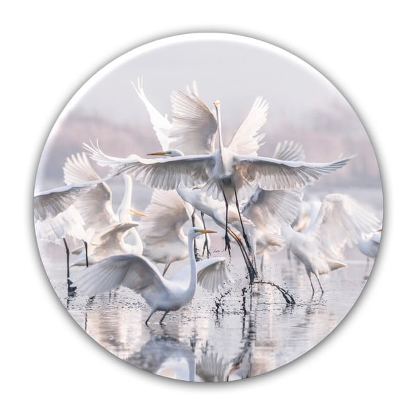 Nástěnná dekorace Styler Ring Herons, ø 70 cm