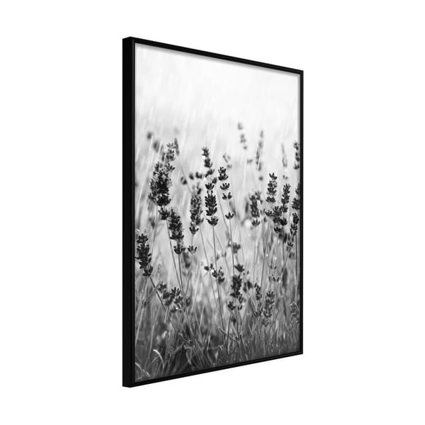 Plakat raamis, 40 x 60 cm Shadow of Meadow - Artgeist